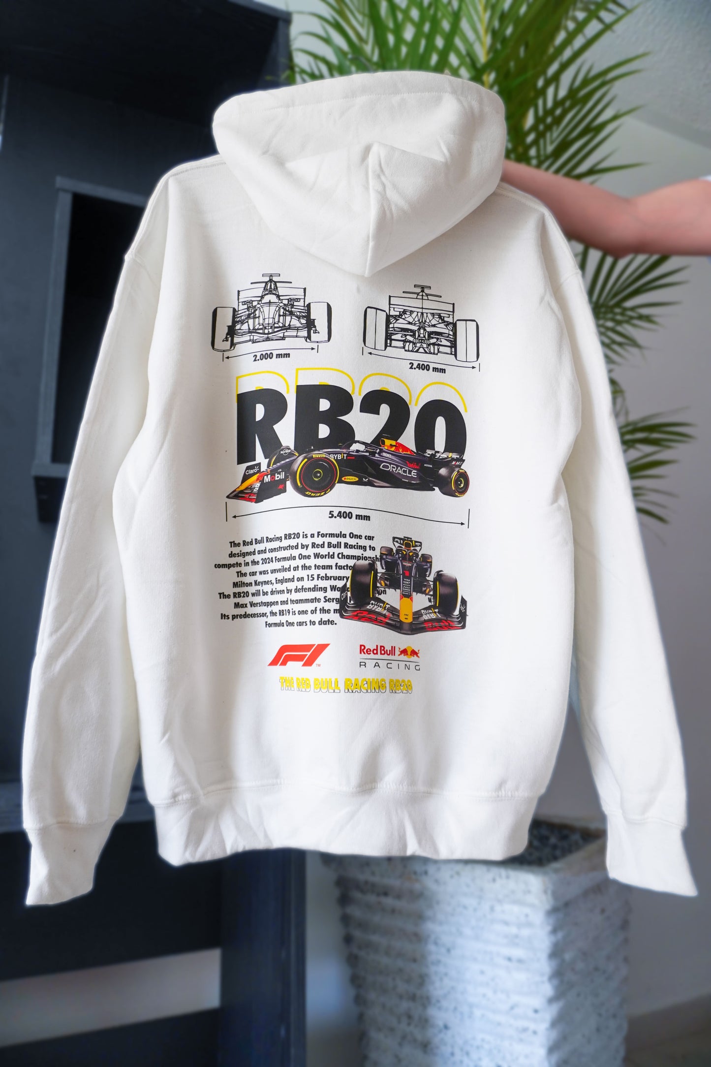 Hoodie RB20 F1